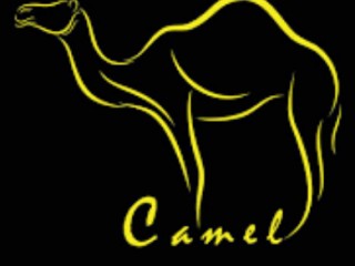 mgg lazada giảm 99k cho thương hiệu thời trang Camel